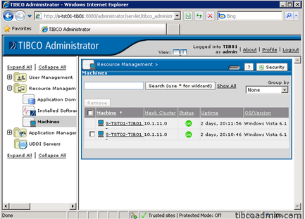 TIBCO Administrator -Windows Internet Explorer