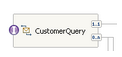customer query