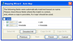 Mapping Wizard-Auto map
